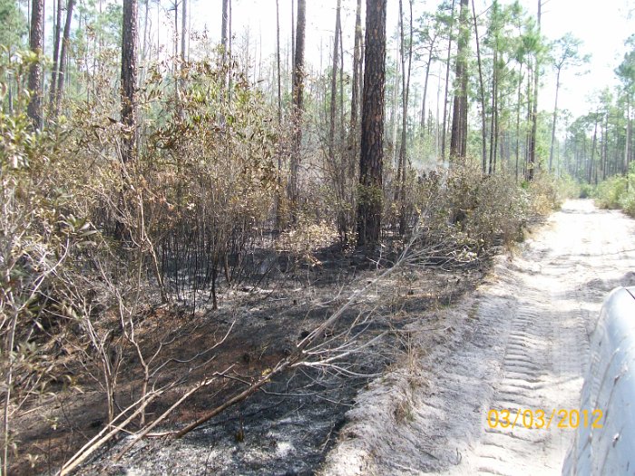 2012-Mar-03HGR4X4Richloam 137